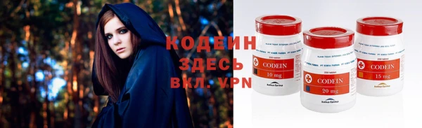 твердый Няндома