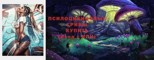 круглые Осташков