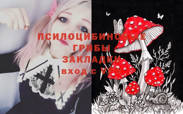 твердый Няндома